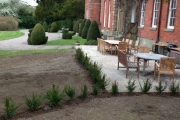 Patio finished,hedge planted